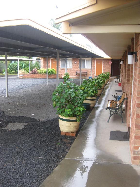 Alfa Motel Gilgandra Bagian luar foto